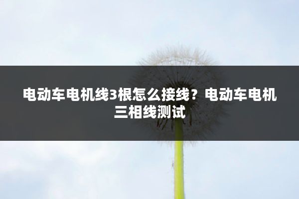 电动车电机线3根怎么接线?电动车电机三相线测试