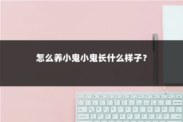 怎么养小鬼小鬼长什么样子？
