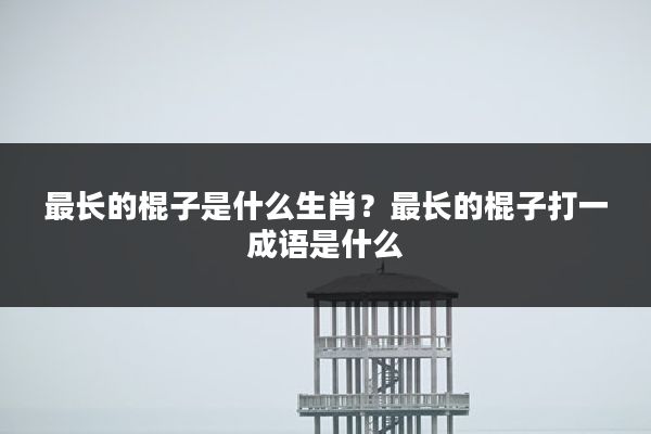 最长的棍子是什么生肖？最长的棍子打一成语是什么