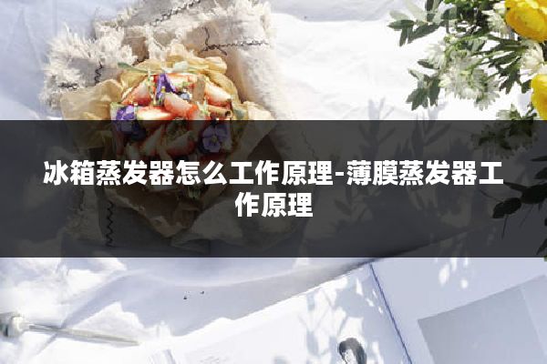 冰箱蒸发器怎么工作原理-薄膜蒸发器工作原理