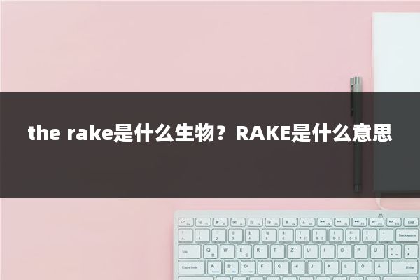 the rake是什么生物?RAKE是什么意思