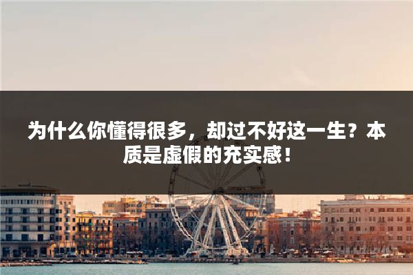 为什么你懂得很多，却过不好这一生？本质是虚假的充实感！