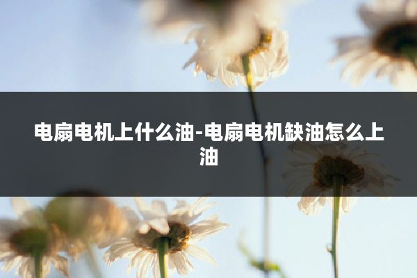电扇电机上什么油-电扇电机缺油怎么上油