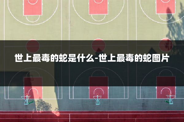 世上最毒的蛇是什么-世上最毒的蛇图片