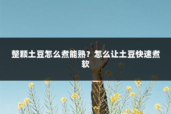 整颗土豆怎么煮能熟?怎么让土豆快速煮软