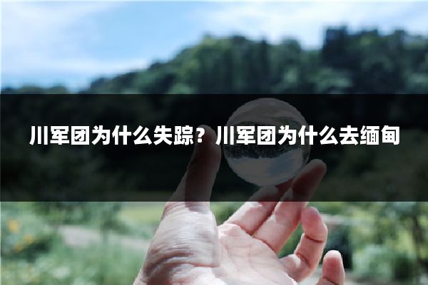 川军团为什么失踪?川军团为什么去缅甸