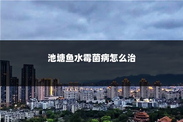 池塘鱼水霉菌病怎么治