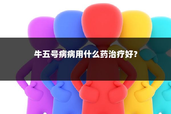 牛五号病病用什么药治疗好？