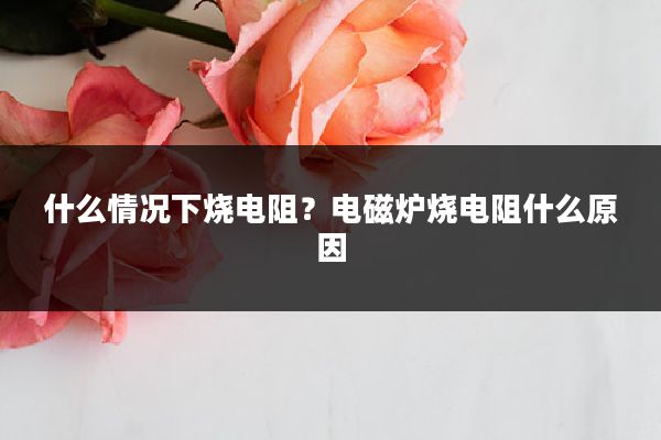 什么情况下烧电阻?电磁炉烧电阻什么原因