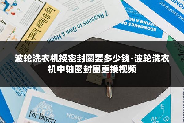 波轮洗衣机换密封圈要多少钱-波轮洗衣机中轴密封圈更换视频