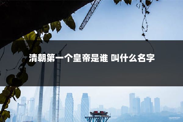 清朝第一个皇帝是谁 叫什么名字