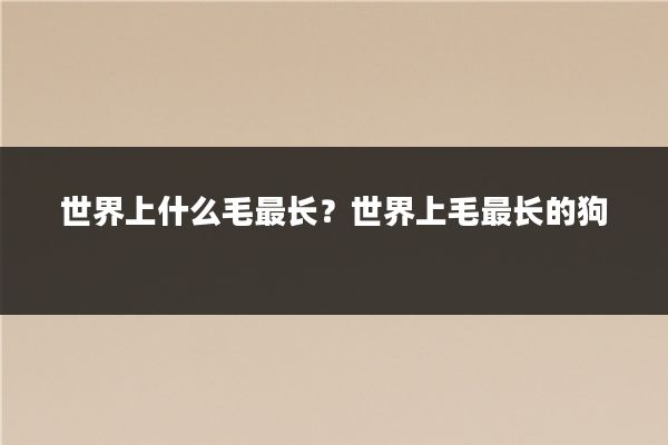 世界上什么毛最长？世界上毛最长的狗