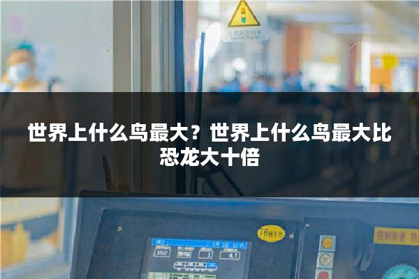 世界上什么鸟最大？世界上什么鸟最大比恐龙大十倍