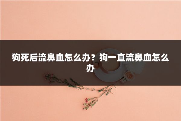 狗死后流鼻血怎么办？狗一直流鼻血怎么办
