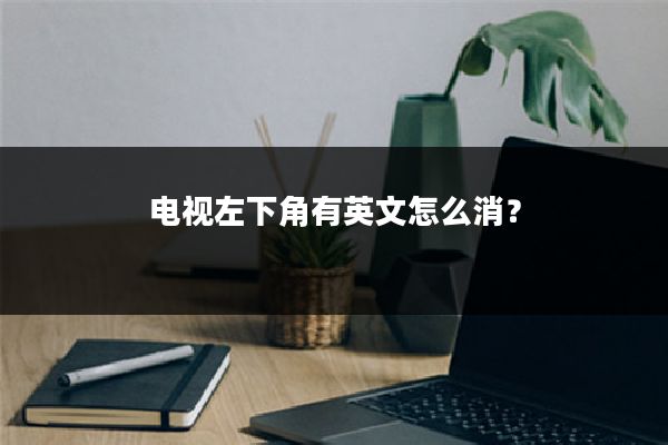 电视左下角有英文怎么消?