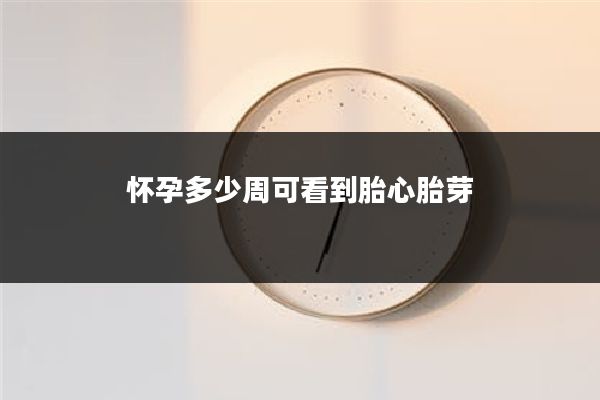 怀孕多少周可看到胎心胎芽