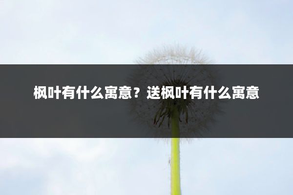 枫叶有什么寓意?送枫叶有什么寓意