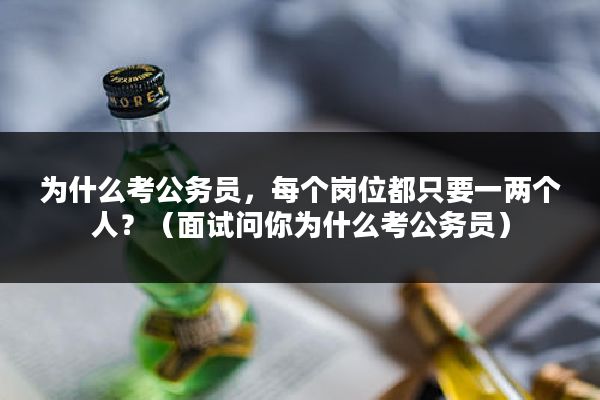 为什么考公务员，每个岗位都只要一两个人？（面试问你为什么考公务员）