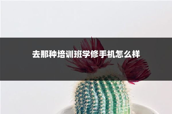 去那种培训班学修手机怎么样