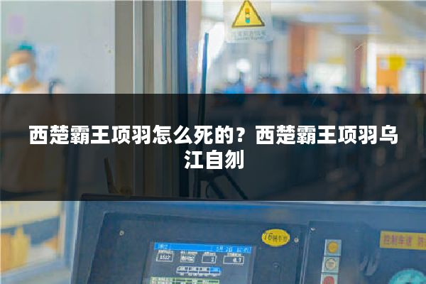 西楚霸王项羽怎么死的？西楚霸王项羽乌江自刎