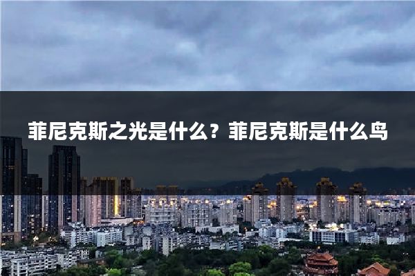 菲尼克斯之光是什么?菲尼克斯是什么鸟