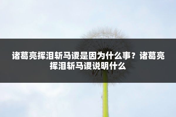 诸葛亮挥泪斩马谡是因为什么事?诸葛亮挥泪斩马谡说明什么