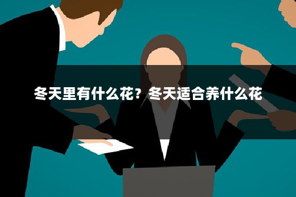 冬天里有什么花？冬天适合养什么花