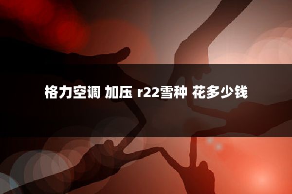 格力空调 加压 r22雪种 花多少钱