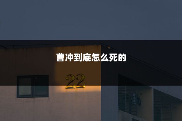 曹冲到底怎么死的