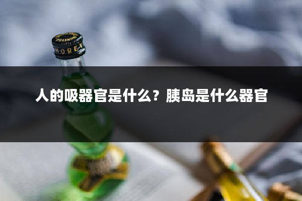 人的吸器官是什么？胰岛是什么器官