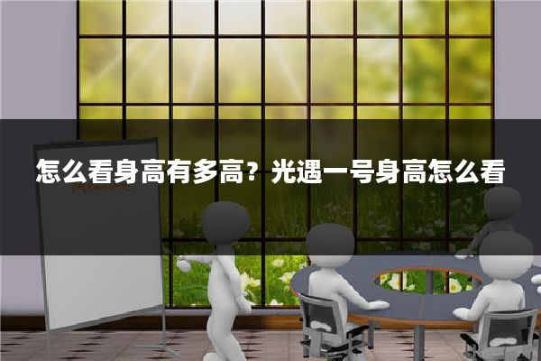 怎么看身高有多高？光遇一号身高怎么看