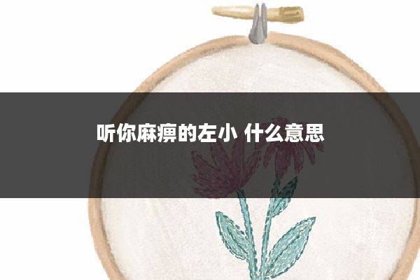 听你麻痹的左小 什么意思