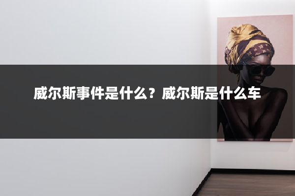 威尔斯事件是什么？威尔斯是什么车