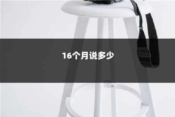 16个月说多少