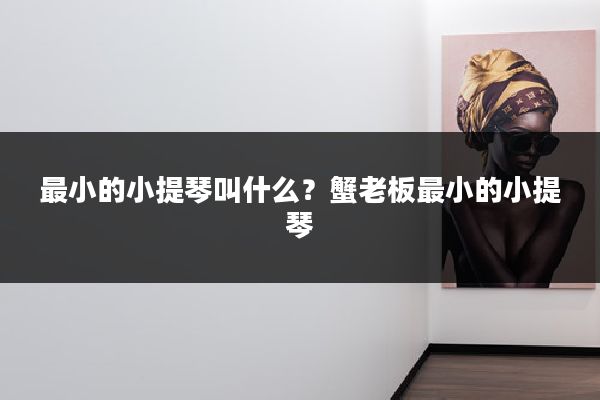 最小的小提琴叫什么？蟹老板最小的小提琴