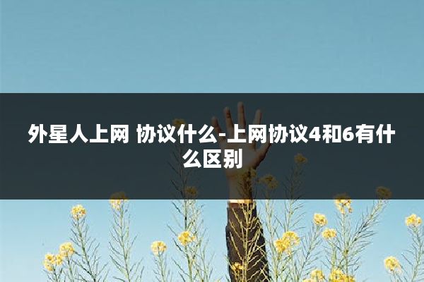 外星人上网 协议什么-上网协议4和6有什么区别