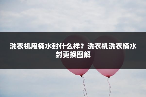 洗衣机甩桶水封什么样?洗衣机洗衣桶水封更换图解