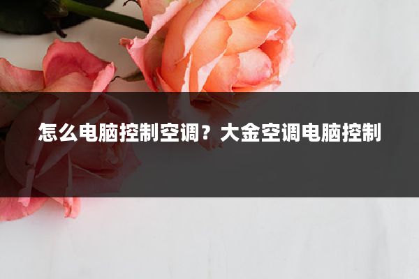 怎么电脑控制空调?大金空调电脑控制