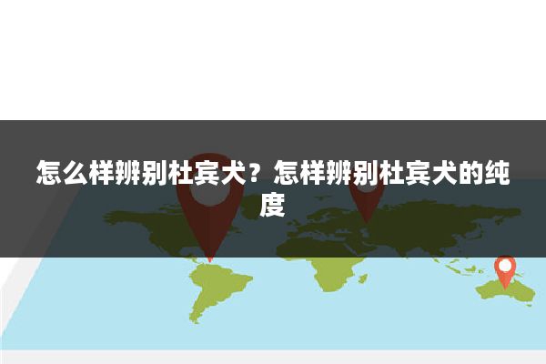 怎么样辨别杜宾犬？怎样辨别杜宾犬的纯度