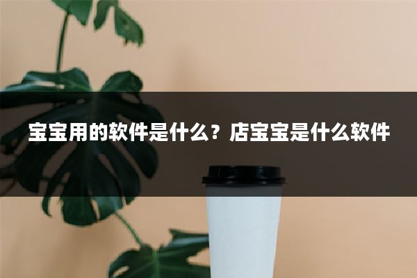 宝宝用的软件是什么?店宝宝是什么软件
