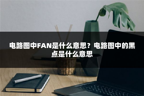 电路图中FAN是什么意思?电路图中的黑点是什么意思