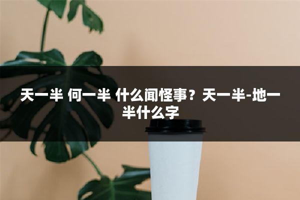 天一半 何一半 什么闻怪事?天一半-地一半什么字