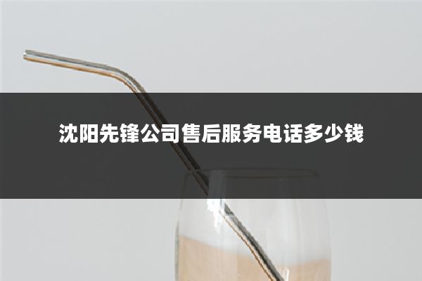 沈阳先锋公司售后服务电话多少钱