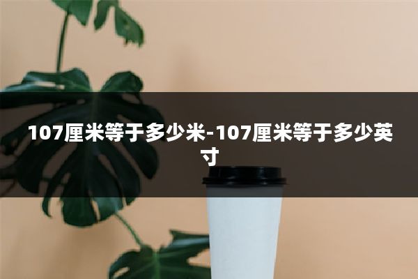 107厘米等于多少米-107厘米等于多少英寸