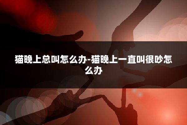 猫晚上总叫怎么办-猫晚上一直叫很吵怎么办