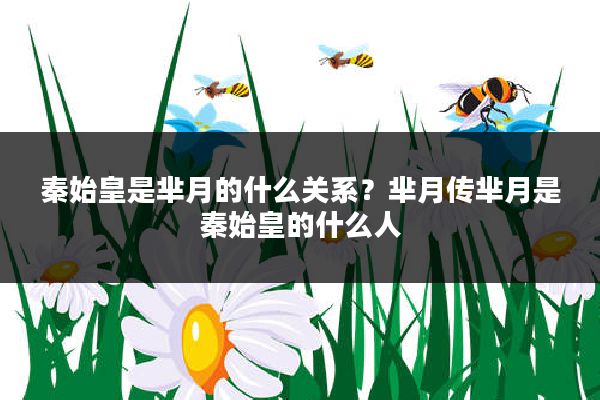 秦始皇是芈月的什么关系？芈月传芈月是秦始皇的什么人