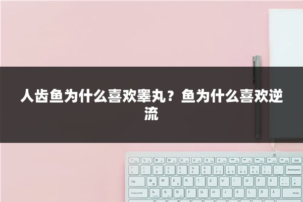 人齿鱼为什么喜欢睾丸？鱼为什么喜欢逆流