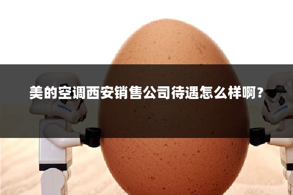 美的空调西安销售公司待遇怎么样啊?