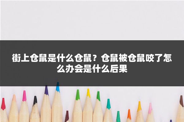 街上仓鼠是什么仓鼠?仓鼠被仓鼠咬了怎么办会是什么后果