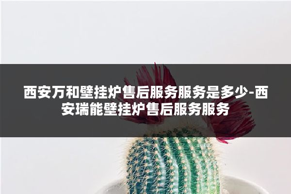 西安万和壁挂炉售后服务服务是多少-西安瑞能壁挂炉售后服务服务